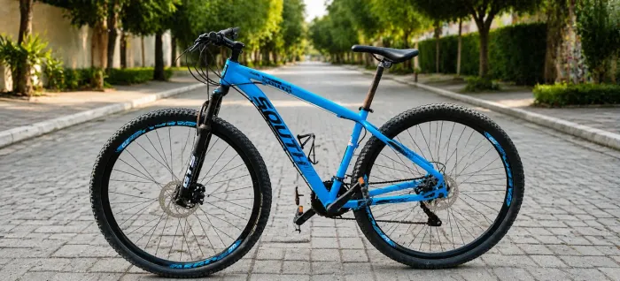 Bicicleta aro 29