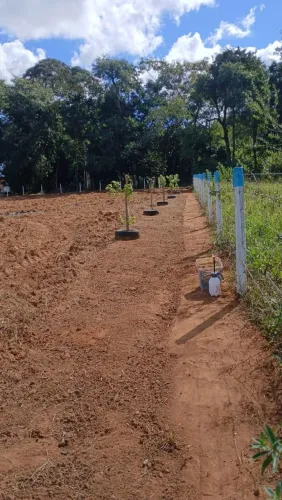 Vendo chácara 3000m2 em Petrolina de Goiás ( com energia, água e Internet) excelente .