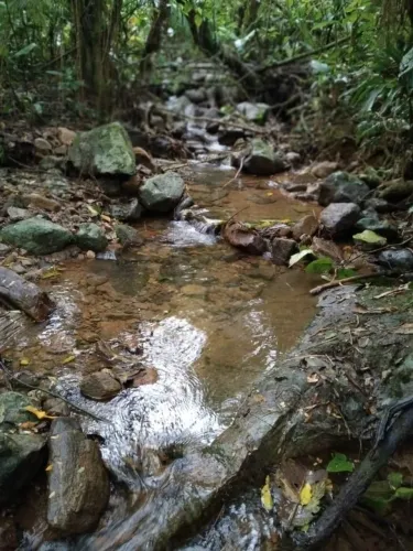 ? ? TERRENO RURAL EM MASSARANDUBA - 150.000 m² POR R$ 600 MIL!