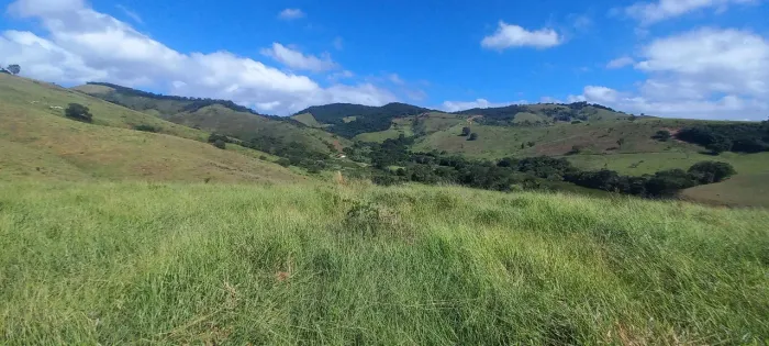 Excelente Fazenda Para Gado e Produtiva!! 