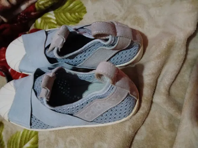 Tenis