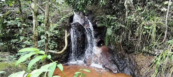 3 hectares com 2 casas, Cachoeirinha e área para plantio em Zona Rural - Santa Leopoldina 