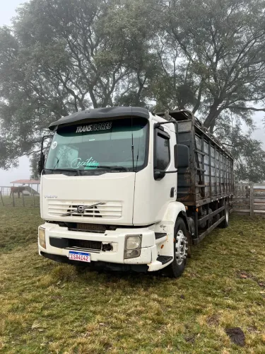 Julieta boiadeira  volvo vm 260