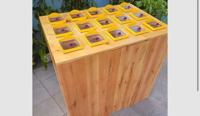 Balcão médio de guloseimas 