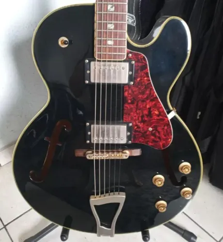 Guitarra Shelter Monterey 