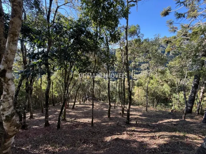 Lote de Terreno à Venda na Região do Parque Pedra do Baú - Campos do Jordão/SP