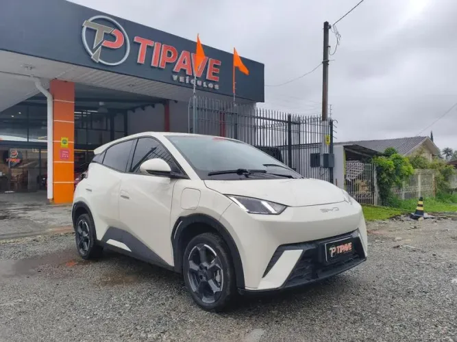 BYD Dolphin Mini (Elétrico) 2024