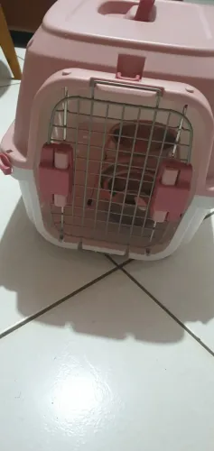 Casinha de cachorro rosa