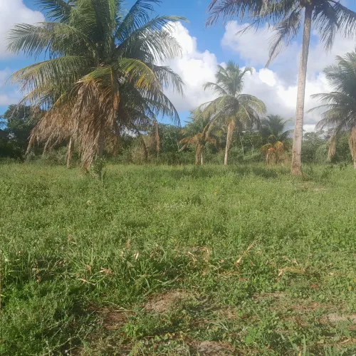 terreno para construção de casa no campo