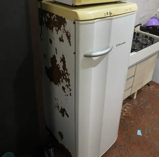 Geladeira 220v