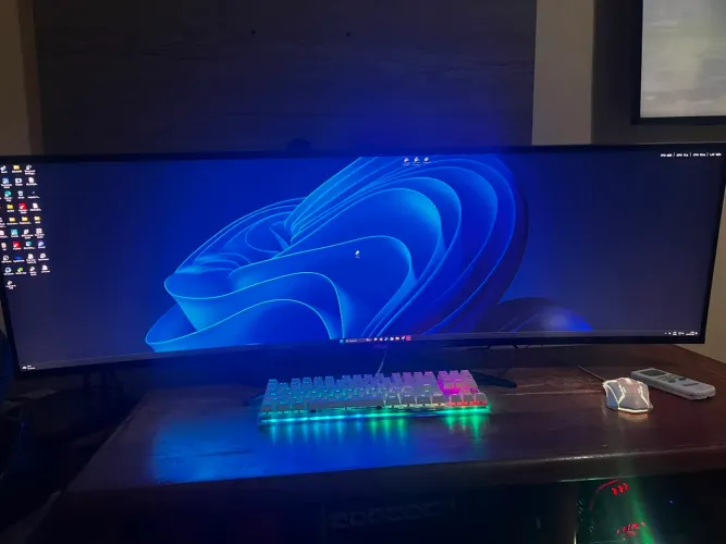 Monitor 49
