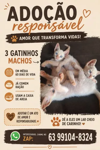 Adoção responsável 