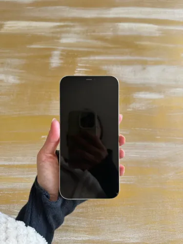 iPhone 12 Pro Max 128GB branco/prata