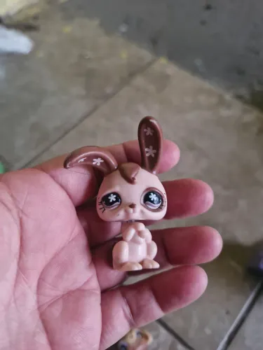 My LITTLE Pet Shop Coelho Chocolate