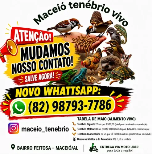 Maceio tenebrio vivos 