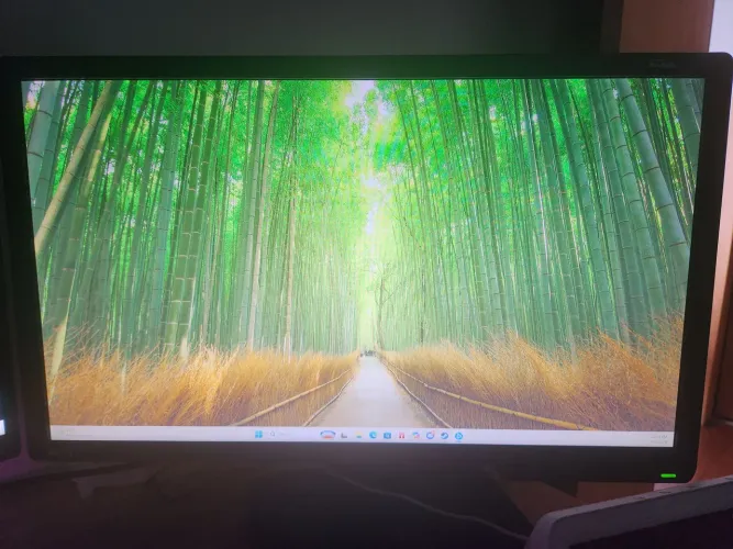 Monitor 144hz benq