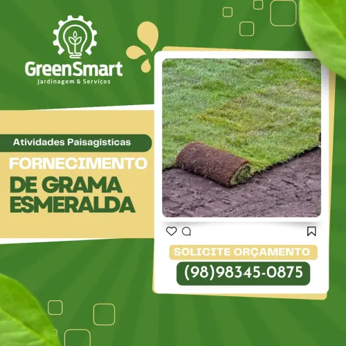 Grama esmeralda