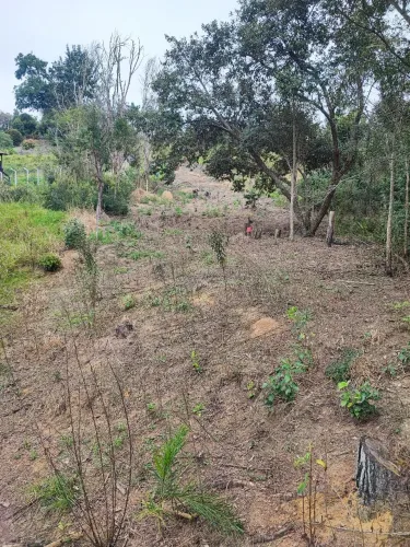 Oportunidade Imperdível, Terreno a Venda no Bairro Parque Agrinco, 100m do Asfalto