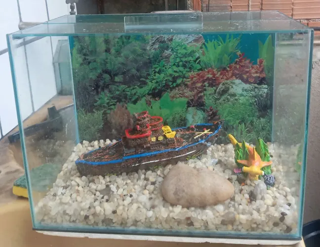 Vendo aquário completo