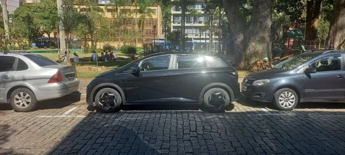 BYD Dolphin EV (Elétrico) 2024