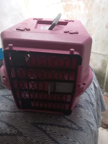 caixa transporte gato e cachorro