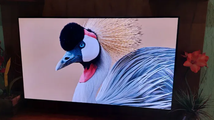 Tv samsung Oled 4K 144Hz modelo S90F estado de nova.