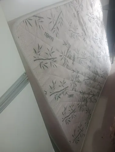 C O L C H Ã O