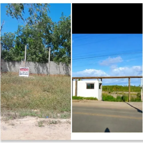 Terreno