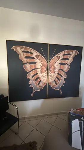 Quadro duplo de borboleta