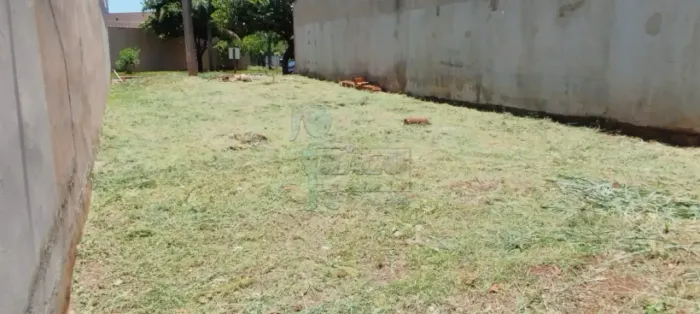 Terreno plaino de 161m² - Jardim João Pontin