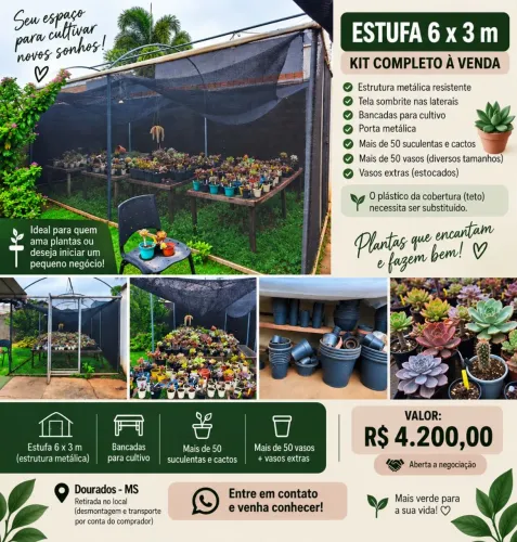 ESTUFA 6×3m + SUCULENTAS, CACTOS, VASOS E BANCADAS - KIT COMPLETO!