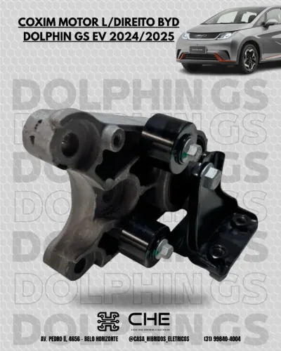 Coxim Motor L/direito Byd Dolphin Gs Ev 2024/2025