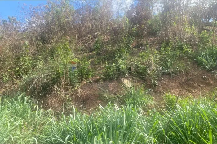 "Terreno em Escarpas: Seu Investimento Perfeito!"