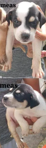 Doação