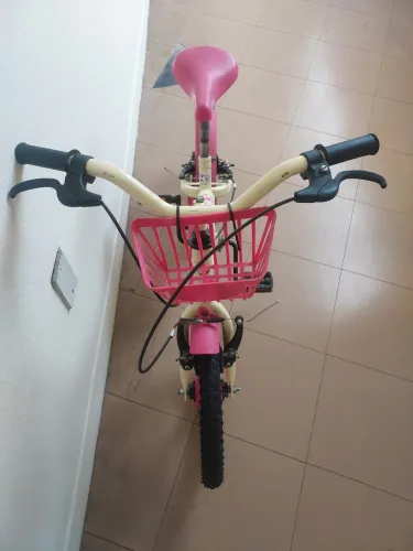 Bicicleta infantil com rodinhas