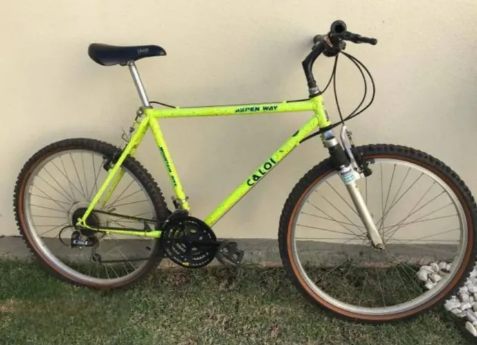 Troco ou vendo bicicleta aro 26 por aro 24