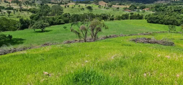 Fazenda 54 alqueires Próximo a Rubiataba