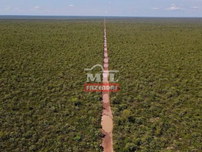 Fazenda Agrícola Sul do Piauí. (1.503 Há)