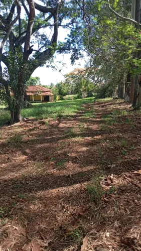 sitio em cajuru  4 alqueires 1.600.000.00