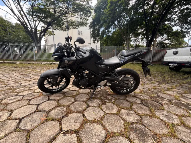 Mt 03 2023