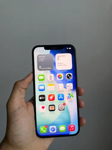 iPhone 12 Pro Max 256GB