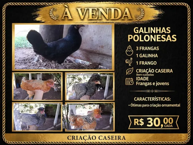 Polonesas