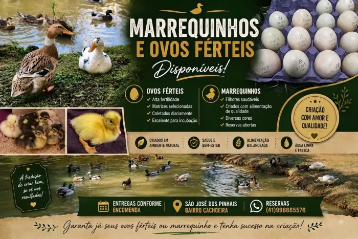 Marrequinhos e Ovos Férteis