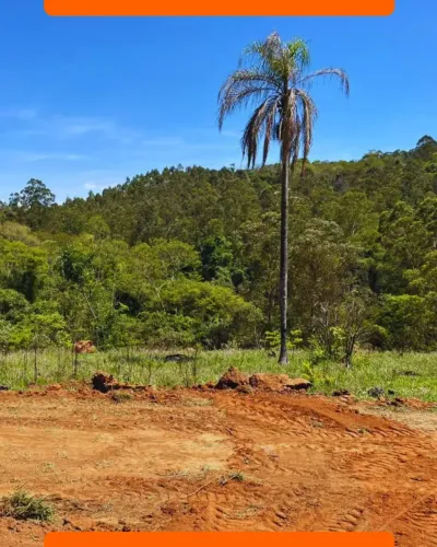 Lote amplo em uma região perfeita para descanso