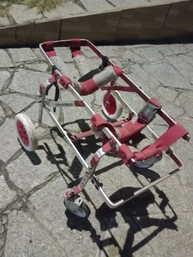 Cadeira de Rodas / Andador Ortopédico de 4 rodas para Cão com Regulagem