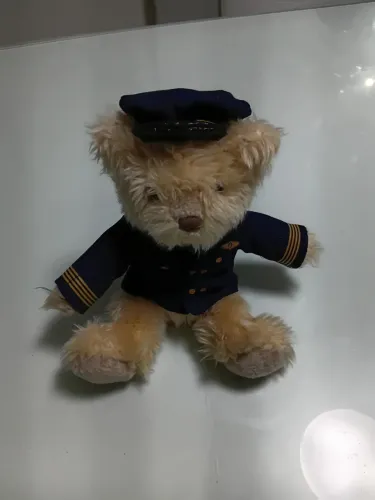 Ursinho capitão