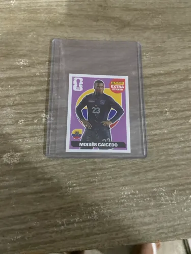 Moisés Caicedo (Legend)