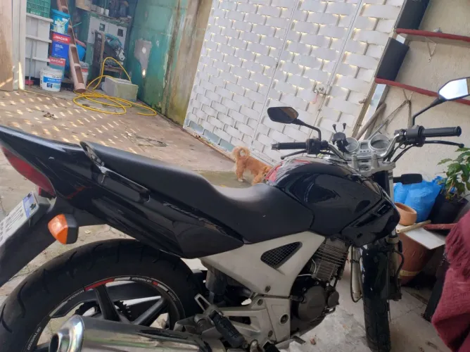 CBX Twister
