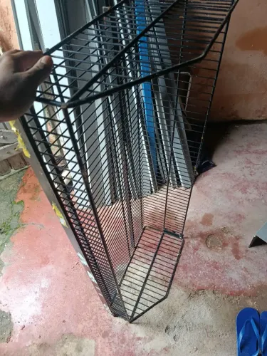 Cesta