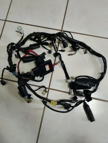 Chicote da Lander 2019 e 2020 original
